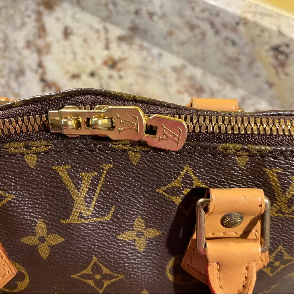 Louis Vuitton Alma PM - Picture 4 of 16